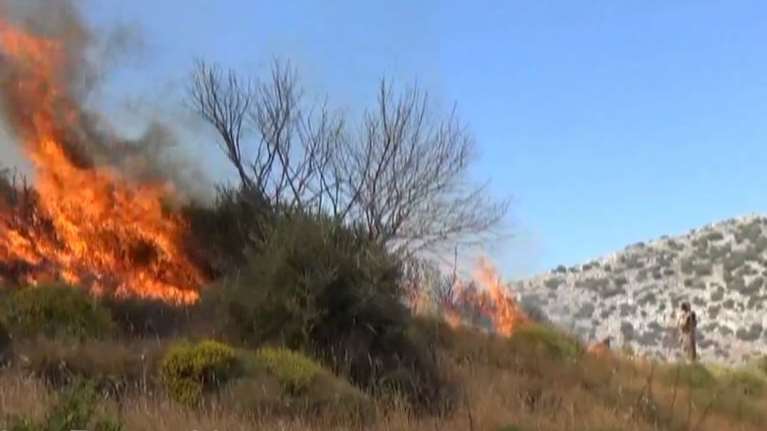 Φωτιά στην Κερατέα: Υπό έλεγχο η πυρκαγιά - Τα εναέρια μέσα σταμάτησαν γρήγορα την εξάπλωσή της [Εικόνες - Βίντεο]