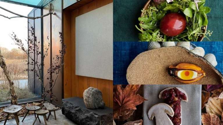 Noma: Γιατί κλείνει το καλύτερο εστιατόριο στον κόσμο - Τα περίεργα πιάτα με καρδιά ταράνδου σε κουκουνάρι