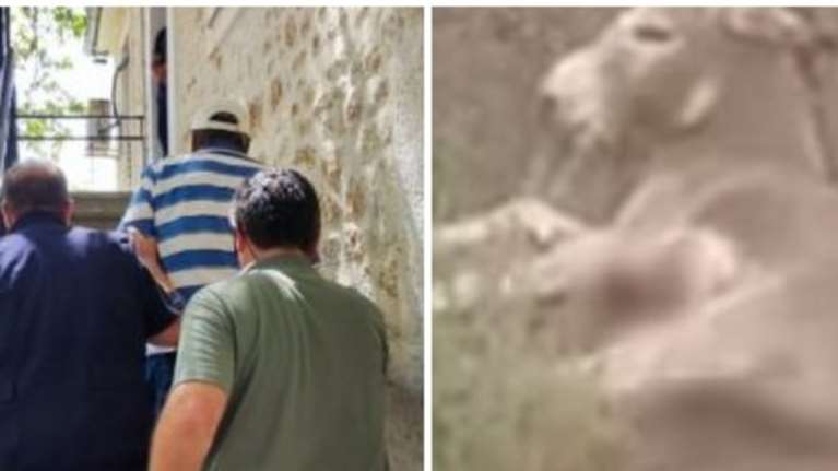 Σάλος με τον αντιδήμαρχο Ζίτσας που έσερνε γάϊδαρο με το αγροτικό στην άσφαλτο - &quot;Τον είχε τραυματίσει λύκος&quot;, λέει τώρα