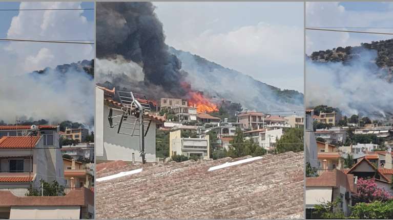 Υπό έλεγχο η φωτιά στη Λούτσα - Κινδύνεψαν σπίτια - Ομοιότητες με τη φωτιά στη Βούλα [εικόνες]