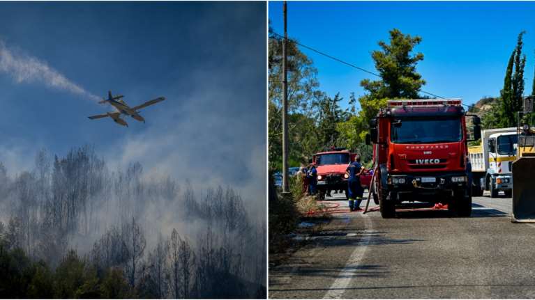 Καλύτερη εικόνα στα μέτωπα της φωτιάς στην Ηλεία: 65χρονος προσήχθη για εμπρησμό