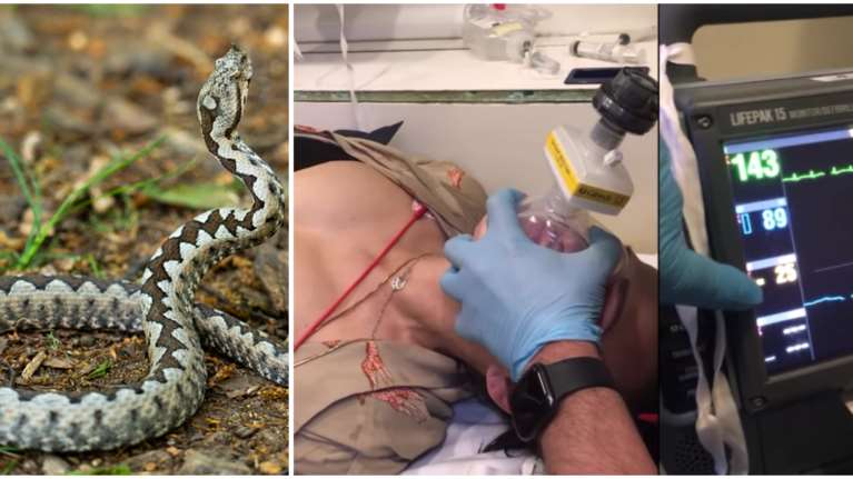 Βίντεο: Πώς το ΕΚΑΒ έσωσε την 39χρονη που δαγκώθηκε από οχιά σε σχολείο της Θεσσαλονίκης- &quot;Δεν θα υπήρχα σήμερα&quot;