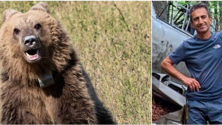Δράμα: Ο θάνατος του ορειβάτη οφείλεται στην επίθεση της αρκούδας, φαίνεται στο βίντεο- Ακούγονται γαυγίσματα και μετά ένα Ωχ