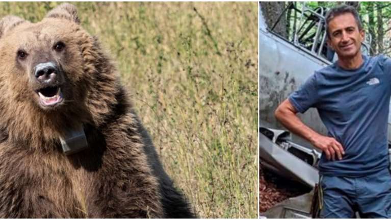 Δράμα: Πώς επιτέθηκε η αρκούδα στους δύο ορειβάτες – Η προσπάθεια για φωτογραφία, το σπρέι πιπεριού και η παρουσία του σκύλου