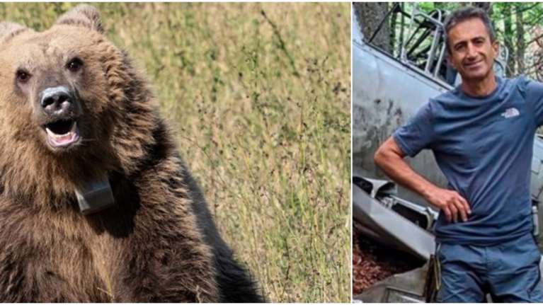 Δράμα: Στο βίντεο του άτυχου ορειβάτη ακούγεται το γαύγισμα του σκύλου, η αρκούδα και μερικά &quot;ωχ ωχ&quot;
