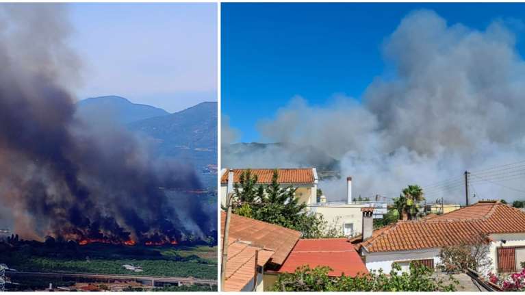 Φωτιά στη Μεσσηνία: Συναγερμός με τις φλόγες κοντά σε σπίτια - Εκκένωση της Ασπροπουλιάς [εικόνες, βίντεο]