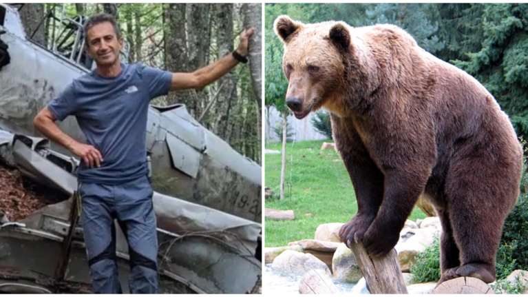 Δράμα: Δεν βρέθηκαν ίχνη επίθεσης από αρκούδα στη σορό του ορειβάτη - Από την πτώση ο θάνατός του