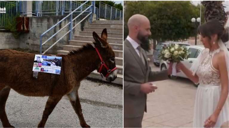 Εκλογές 2023: Τα ευτράπελα της κάλπης- Νύφες και γαμπροί στις κάλπες και ο αγρότης πάνω στο άλογο