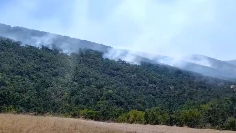 Κοζάνη: Σε εξέλιξη η πυρκαγιά στα Λιβερά - Συμμετέχουν εναέρια μέσα στην κατάσβεση [βίντεο]