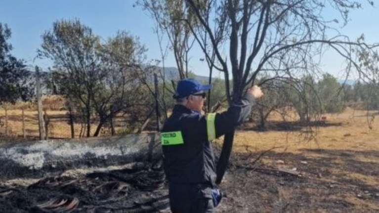 Βόλος: 76χρονος συνελήφθη για εμπρησμό από πρόθεση - Έκαιγε ξερά χόρτα