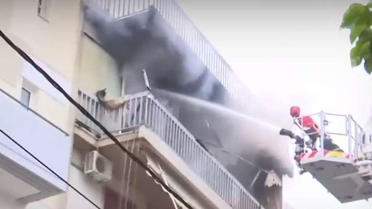 Αγία Παρασκευή: Ο αδερφός της 77χρονης που κάηκε στο διαμέρισμα το έμαθε από τις ειδήσεις