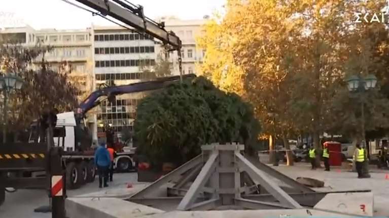 Το χριστουγεννιάτικο δέντρο στήθηκε στην πλατεία Συντάγματος - Έλατο 21 μέτρων από το Καρπενήσι [βίντεο]