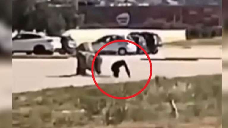 Προανάκριση για την θανάτωση χιμπατζή στο Αττικό Πάρκο - Γιατί ο φροντιστής πυροβόλησε και δεν τον νάρκωσε