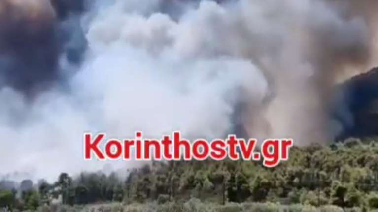 Μεγάλη φωτιά στο Σοφικό Κορινθίας: Τραυματίστηκαν τρεις πυροσβέστες - Μήνυμα 112 - Επιχειρούν 19 εναέρια μέσα [βίντεο]