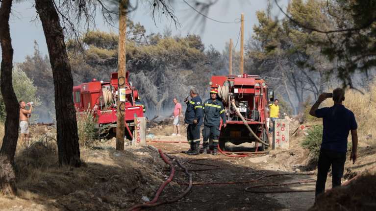Μεγάλη φωτιά στην περιοχή της Ροδιάς του Δήμου Μαλεβιζίου