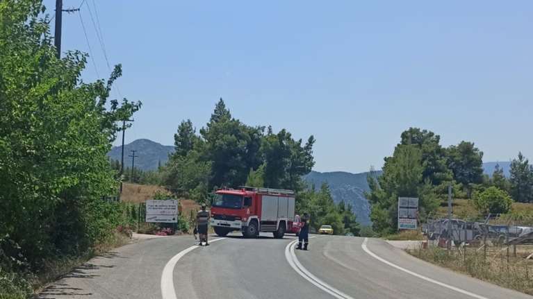 Φωτιά σε δασική έκταση ανάμεσα σε Μαρκόπουλο και Κάλαμο