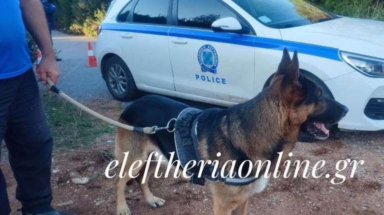 Θρίλερ στην Κυπαρισσία: Βρέθηκε πτώμα θαμμένο σε παραλία - Συναγερμός στις Αρχές