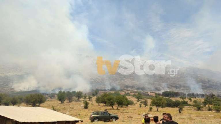 Συναγερμός στην πυροσβεστική: Σε εξέλιξη δύο φωτιές στην Ελάτεια Φθιώτιδας και στη Σκάλα Λακωνίας [Εικόνες]