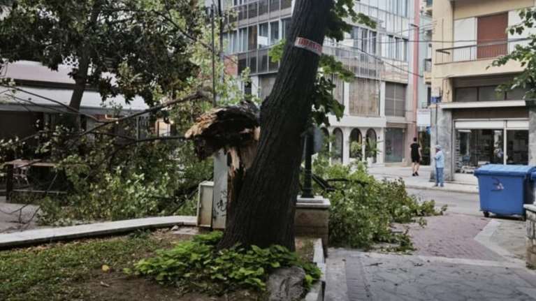 Τα μπουρίνια σάρωσαν περιοχές σε Βόρεια και Κεντρική Ελλάδα: Πτώσεις δέντρων, ζημιές σε ΙΧ [εικόνες - βίντεο]