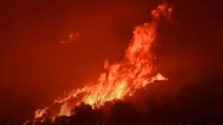 Πυρκαγιές στην Καλιφόρνια: Τυλίγουν με φύλλα αλουμινίου τα τεράστια δέντρα για να τα προστατέψουν