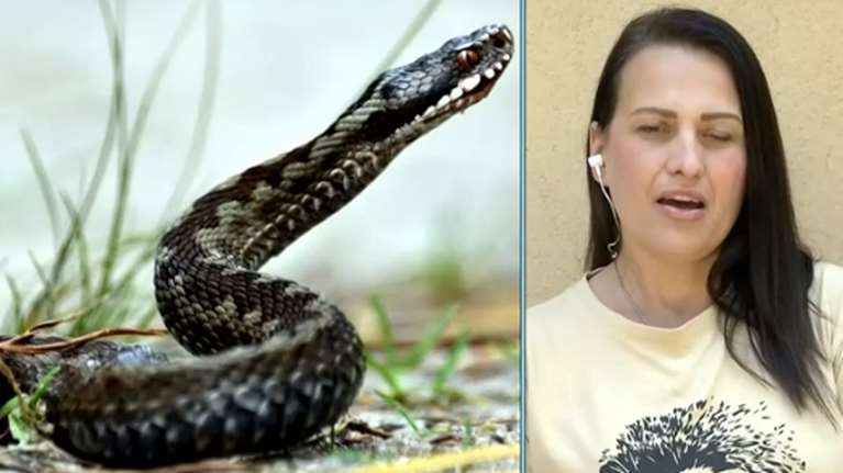 Τα πρώτα λόγια της Κωνσταντίας που έπεσε σε κώμα μετά το δάγκωμα οχιάς: Ήμουν για οκτώ μέρες κλινικά νεκρή