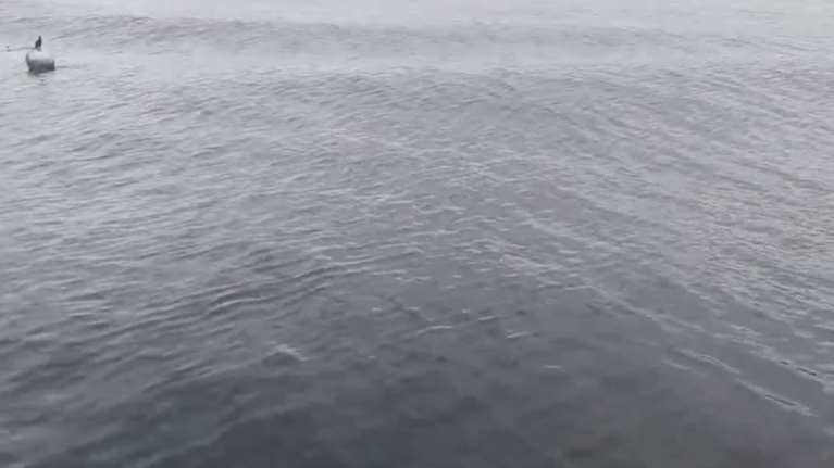 Η στιγμή που ο σεισμός στην Τουρκία σαρώνει τη θάλασσα του Μαρμαρά και "σηκώνει" κύματα [βίντεο]