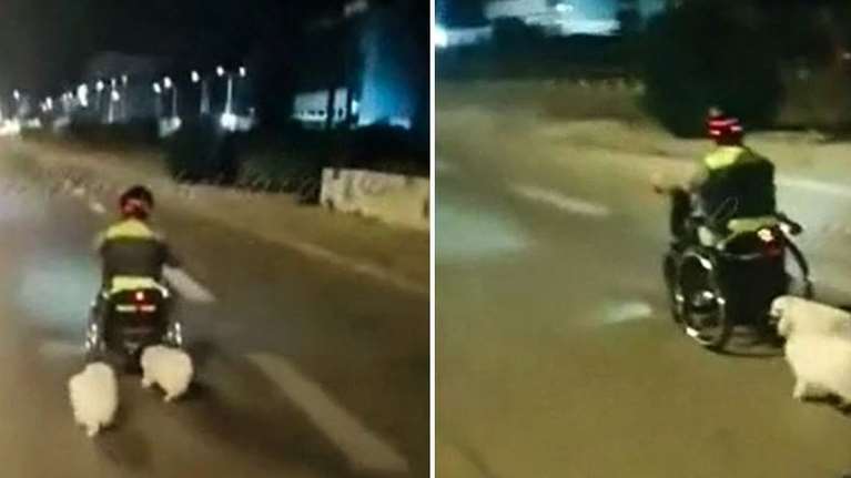 Τροχαίο στη Βάρκιζα: Βίντεο δείχνει τον 40χρονο με αναπηρικό αμαξίδιο και τα δύο σκυλάκια του - Τον σκότωσε 87χρονος οδηγός