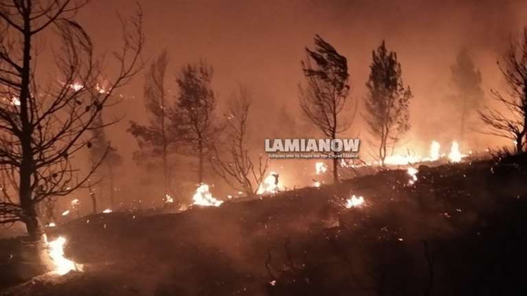 Φωτιά στο Μαρτίνο Φθιώτιδας:  Καίγεται δάσος - Οι πρώτες εικόνες