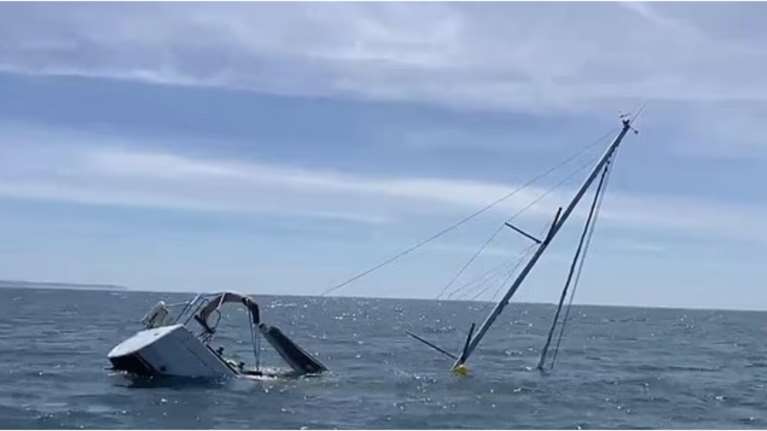 Τρόμος: Όρκες βουλιάζουν ιστιοφόρο ανοιχτά της Πορτογαλίας [βίντεο]