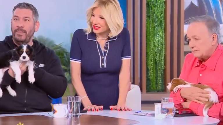 Πανευτυχής ο Α. Μικρούτσικος με τα κουταβάκια του: &quot;Είναι από τους καλύτερους μήνες της ζωής μου&quot;