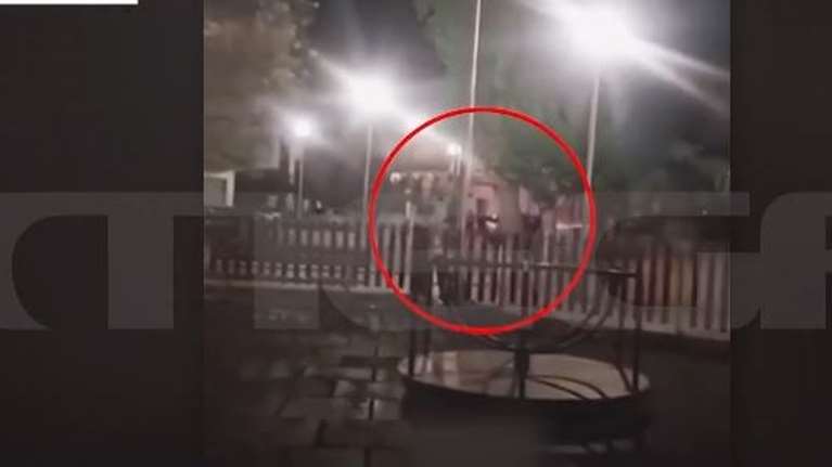 Χαλκίδα: Βίντεο ντοκουμέντο από επεισοδιακή καταδίωξη με πυροβολισμούς - Ανάμεσα σε σπίτια