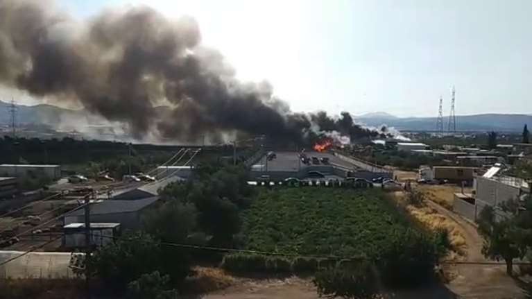 Φωτιά στον Ασπρόπυργο: Επεκτάθηκαν σε εργοστάσιο λιπαντικών οι φλόγες - Κλειστοί δρόμοι και μήνυμα 112