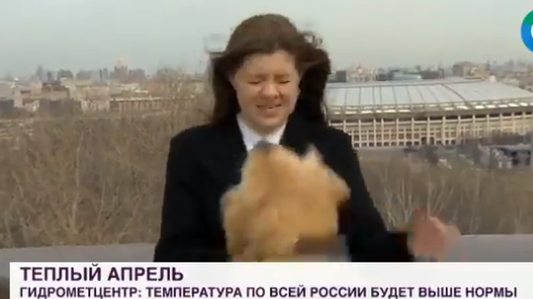 Ο Μάρτιν, το Γκόλντεν Ριτρίβερ που &quot;έκλεψε&quot; το μικρόφωνο μιας ρεπόρτερ και την καρδιά των τηλεθεατών live [βίντεο]