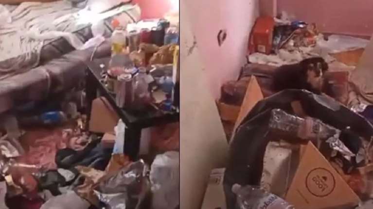 Θεσσαλονίκη: Σκυλιά ζούσαν σε διαμέρισμα τρώγλη - Συνελήφθη ο ιδιοκτήτης [βίντεο]