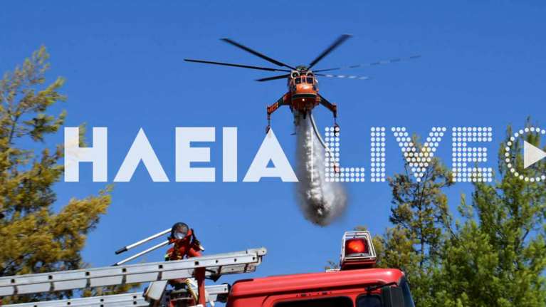 Πύργος Ηλείας: Υπό μερικό έλεγχο τέθηκε η φωτιά στην περιοχή Κολοκυθάς