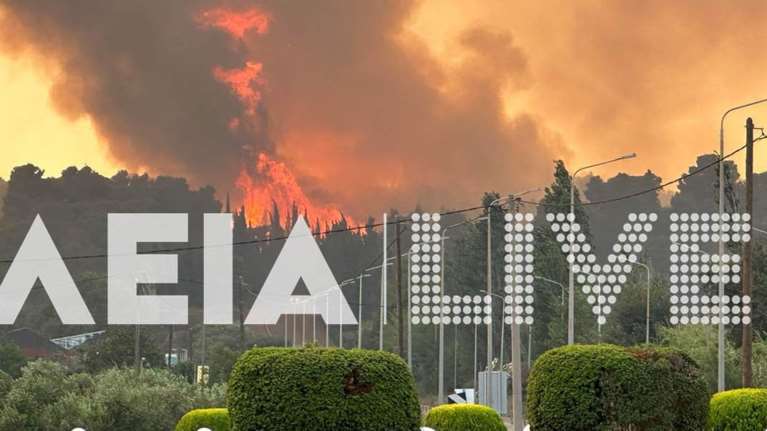 Φωτιά στην Ηλεία: Νεκρός ένας 55χρονος - Πήγε να βοηθήσει στην κατάσβεση και έπαθε αναρρόφηση