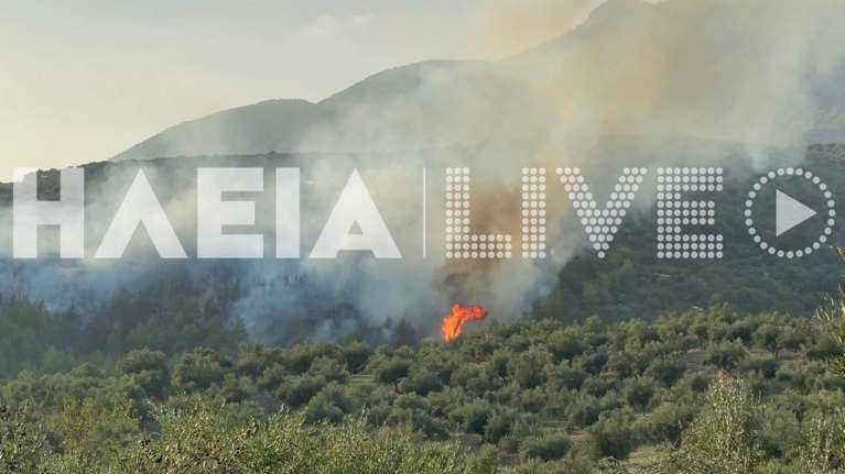 Πυρκαγιά στη Ζαχάρω: Στις φλόγες δάσος και ελιές - Επί ποδός ισχυρή δύναμη της Πυροσβεστικής [Εικόνες}