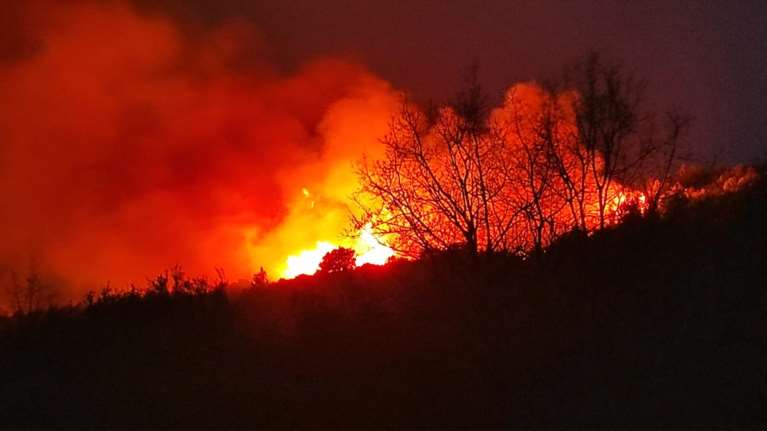 Φωτιά στην Ηλεία: Σε εξέλιξη πυργκαγιά στην περιοχή Λιβαδάκι