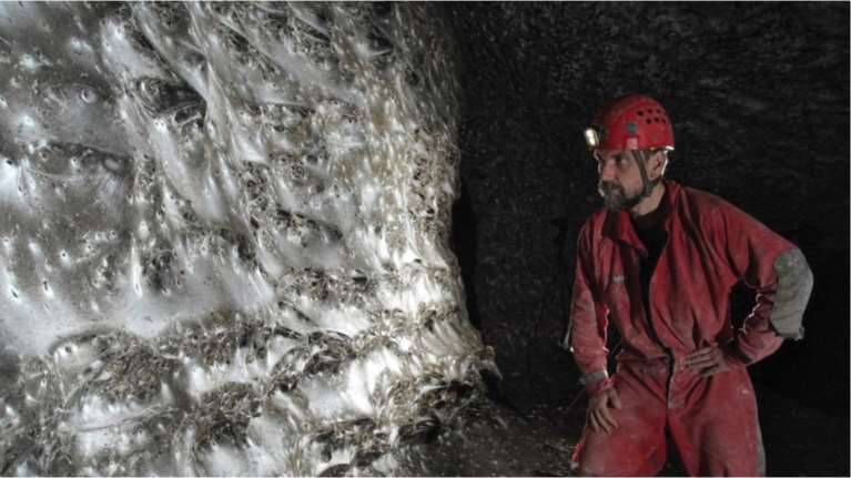 O μεγαλύτερος ιστός αράχνης στον κόσμο σε σπήλαιο στα σύνορα Ελλάδας – Αλβανίας - Πάνω από 111.000 αράχνες