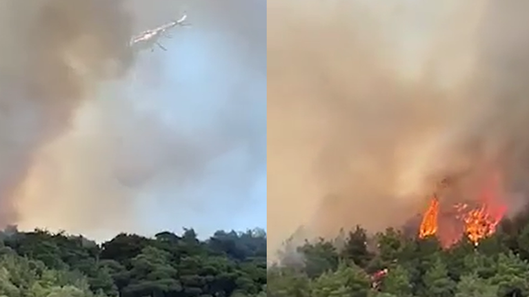 Έβρος: Καίγεται το παρθένο δάσος της Δαδιάς στο Σουφλί - Το πύρινο μέτωπο ξεπερνά τα δύο χιλιόμετρα