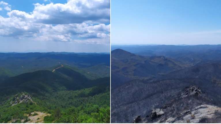 Κρανίου τόπος το δάσος της Δαδιάς - Συγκλονιστικές εικόνες από το πριν και το μετά της καταστροφικής πυρκαγιάς