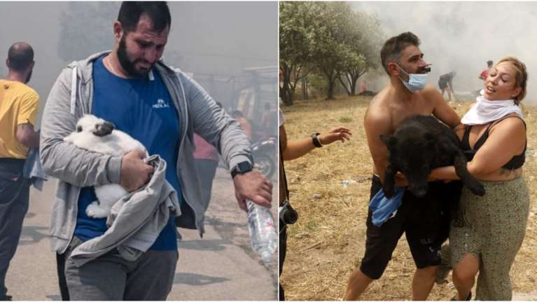 Φωτιά στην Πάρνηθα: Η στιγμή που κάτοικοι, εθελοντές και αστυνομικοί σώζουν ζώα από τις φλόγες [εικόνες]