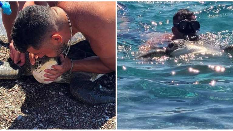 Ρόδος: Συγκινητική διάσωση εγκλωβισμένης χελώνας - Δύτης της έκανε τεχνητή αναπνοή [Βίντεο]