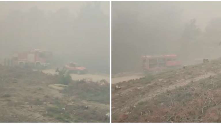 Φωτιά στη Δαδιά: Βίντεο με τον εφιαλτικό πυκνό καπνό - Παλεύουν με την πύρινη λαίλαπα οι πυροσβέστες