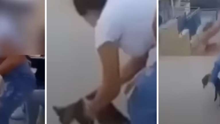 &quot;Καμπάνα&quot; 5.000 ευρώ στη 15χρονη που κλώτσησε γατάκι στο Ρέθυμνο και γελούσε - Γιατί δεν συνελήφθη [βίντεο]