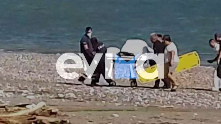 Εύβοια: Αποκάλυψη για την πτώση ελικοπτέρου - Ο πιλότος χτύπησε το κεφάλι του στα ταμπλό [Βίντεο]