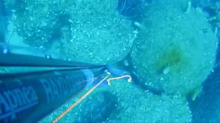 Κεφαλονιά: Πήγε για ψαροντούφεκο και... βρήκε νάρκη σε δέκα μέτρα βάθος [βίντεο]