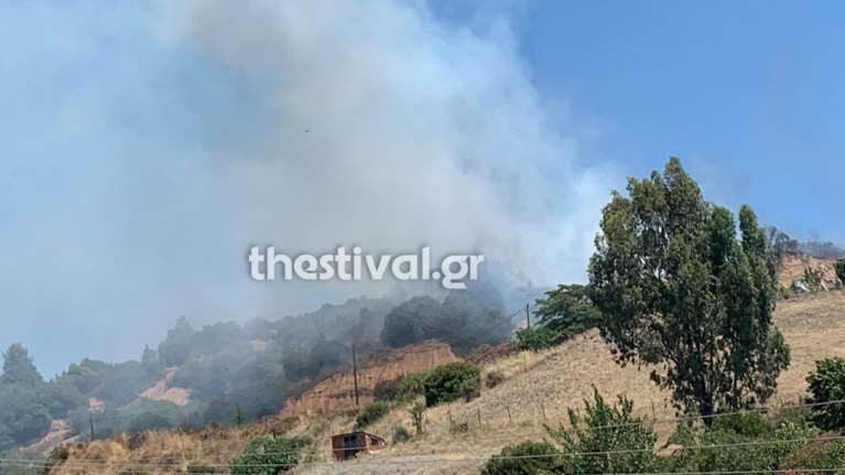 Σε εξέλιξη φωτιά σε δασική έκταση στη Νικητή Χαλκιδικής