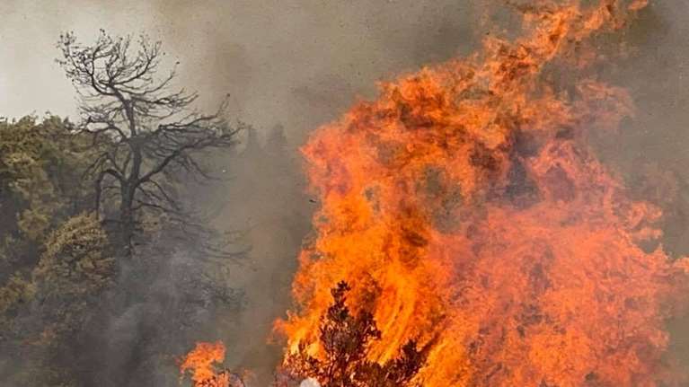 Φωτιά στην Ηλεία: Καίγονται σπίτια στη Νεμούτα - Απομακρύνονται κάτοικοι σε Ελαία και Χώρα [Eικόνες, Bίντεο]