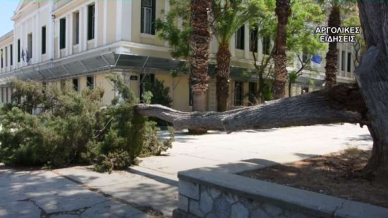 Ναύπλιο: Τεράστιο κλαδί δέντρου έπεσε σε κεντρική πλατεία της πόλης [εικόνες, βίντεο]
